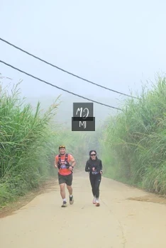 Runner Photo 647303