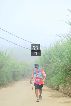 Runner Photo 647322