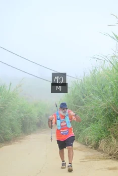 Runner Photo 647324