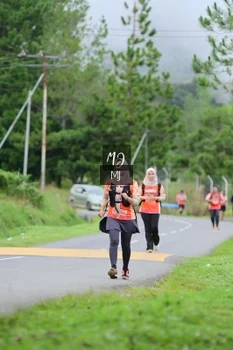 Runner Photo 647347