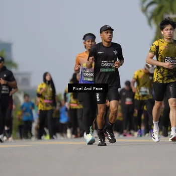 Runner Photo 6480447