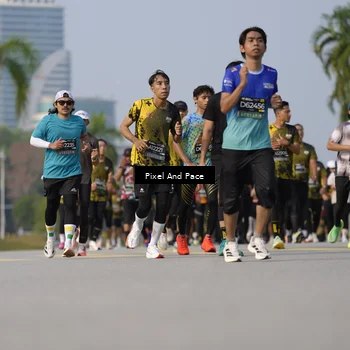Runner Photo 6480633