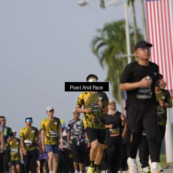 Runner Photo 6480786