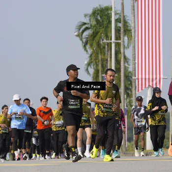 Runner Photo 6491734