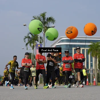 Runner Photo 6496613