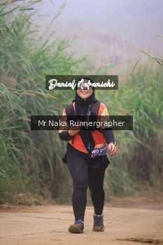 Runner Photo 649677
