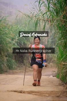 Runner Photo 649718