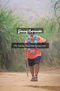 Runner Photo 649965