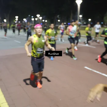 Runner Photo 6509529