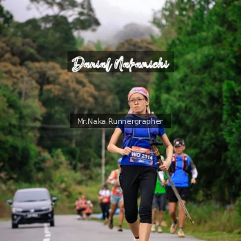 Runner Photo 651204