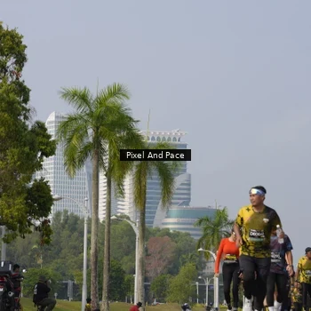 Runner Photo 6516037
