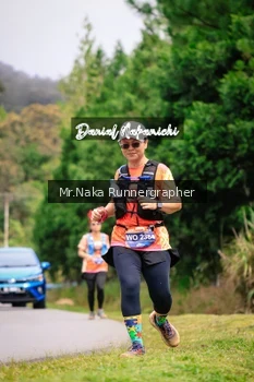Runner Photo 652151