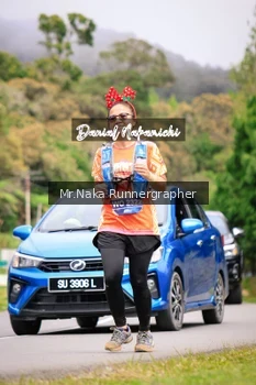 Runner Photo 652180