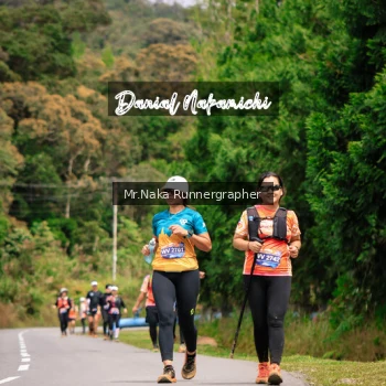 Runner Photo 652427