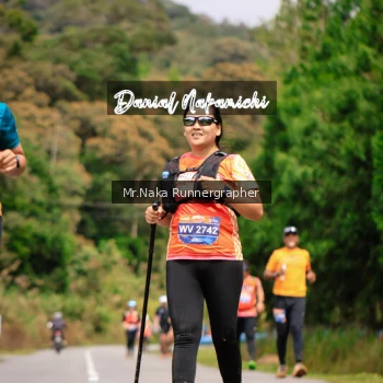 Runner Photo 652454