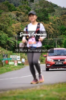 Runner Photo 652656
