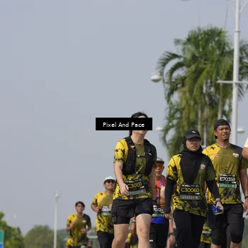 Runner Photo 6527822
