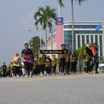 Runner Photo 6538465