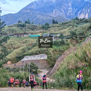 Runner Photo 653858