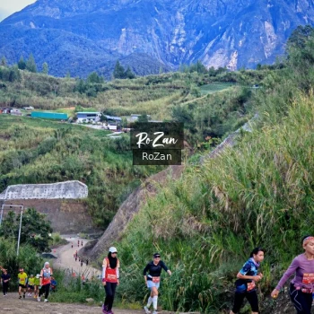 Runner Photo 655436