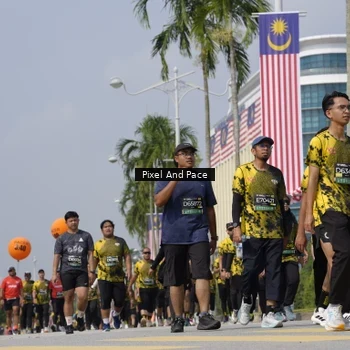 Runner Photo 6554821
