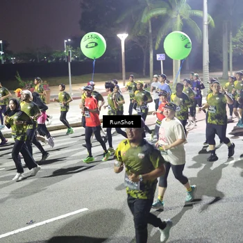 Runner Photo 6560687