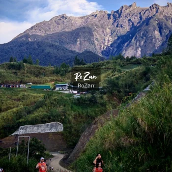 Runner Photo 656955