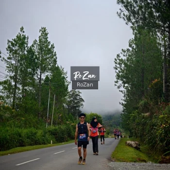 Runner Photo 658007