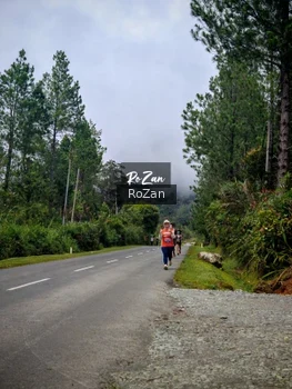 Runner Photo 658144