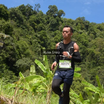 Runner Photo 65960