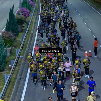 Runner Photo 6596593
