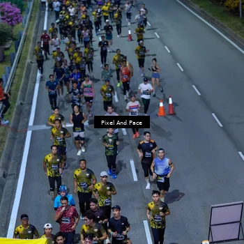 Runner Photo 6598362