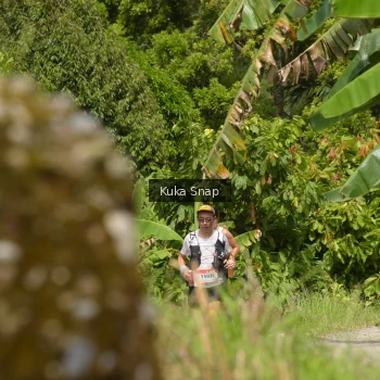 Runner Photo 65987