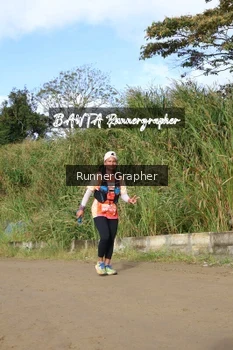 Runner Photo 661038
