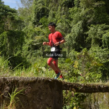 Runner Photo 66143