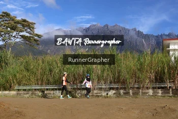 Runner Photo 661749