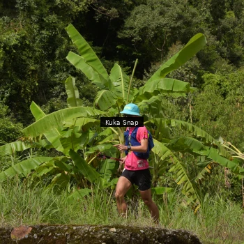 Runner Photo 66179
