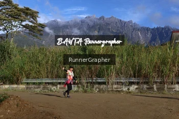 Runner Photo 662039
