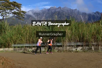 Runner Photo 662762