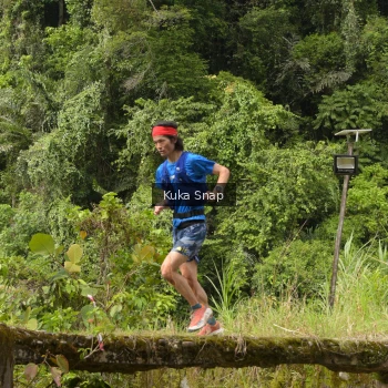 Runner Photo 66344