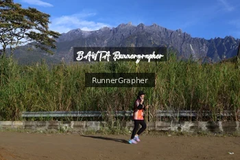 Runner Photo 663533