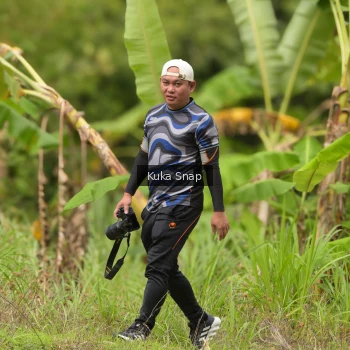 Runner Photo 66395