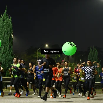 Runner Photo 6639830
