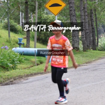 Runner Photo 665021
