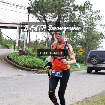 Runner Photo 665274