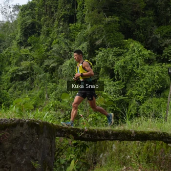 Runner Photo 66529