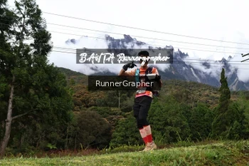Runner Photo 665954
