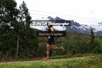 Runner Photo 665994