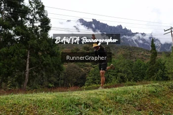 Runner Photo 666024