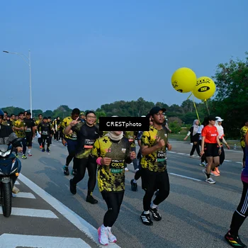 Runner Photo 6675693